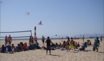 South Bay Weekend: “Frozen” on the Pier, IPA Festival, Riviera Village Summer Fest, Manhattan Beach Concerts, & More