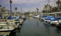 South Bay Weekend: Humidity, Rockabilly Rebels, Bo Bridges, Grand Hill IPA, Summer Movies, Beatles, Sand Castles, Too Rude & South Bay Country Band