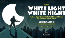 9th Annual White Light White Night