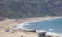 South Bay Weekend: Wet Hop Season, Finding Nemo, The Deck, Okinawan Music, Poker Tournament, Autumn Sea Fair, Brewtopia & Bark for Life