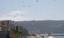 South Bay Weekend: Kite Festival, Hop Tanker, St.Jameson Stout, Grunion Run, St. Patrick’s Day Parade, Magic Show, Emerald Isle 5k, Bottomless Sangria & Lunafest