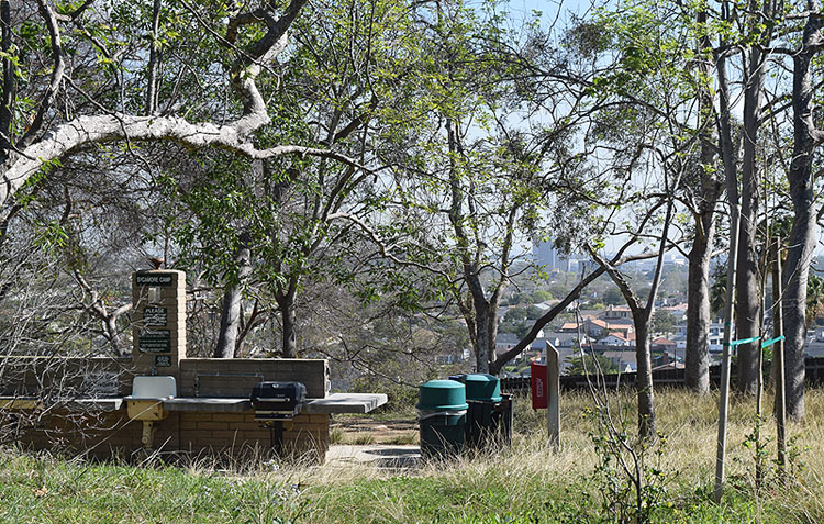 On the campgrounds at Hopkins Wilderness Park in Redondo Beach (Photo by South Bay Events)