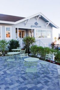 Gum Tree | Hermosa Beach | South Bay Events